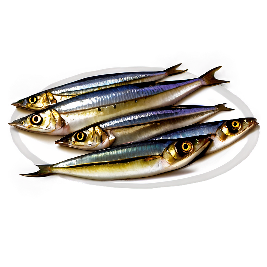 Sardine Snack Png 06252024