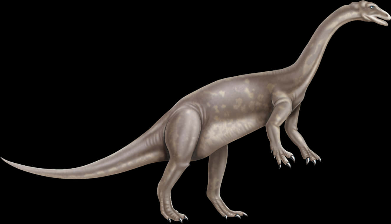 Sauropod Dinosaur Illustration