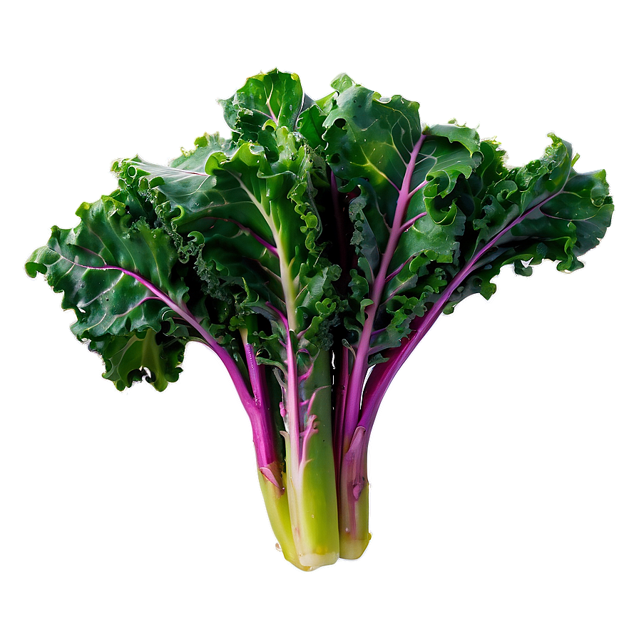 Sautéed Kale Png 06252024