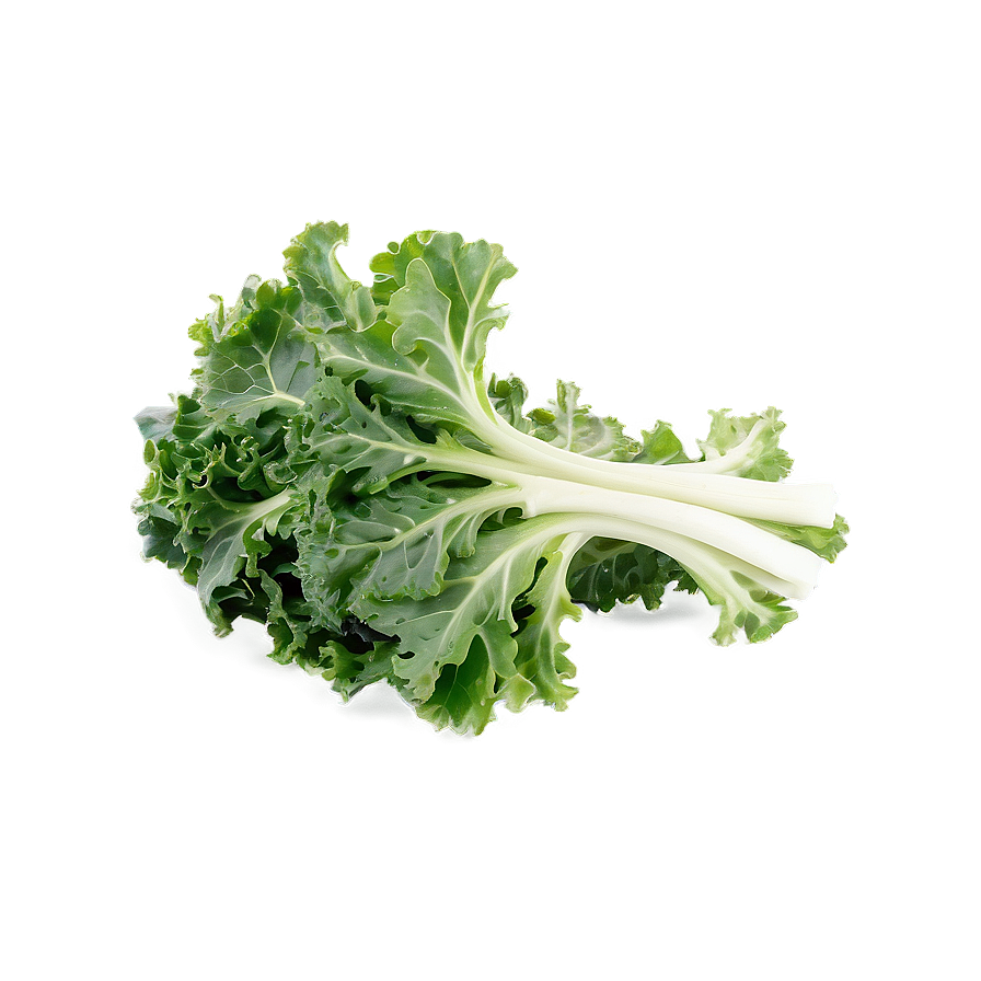 Sautéed Kale Png 53