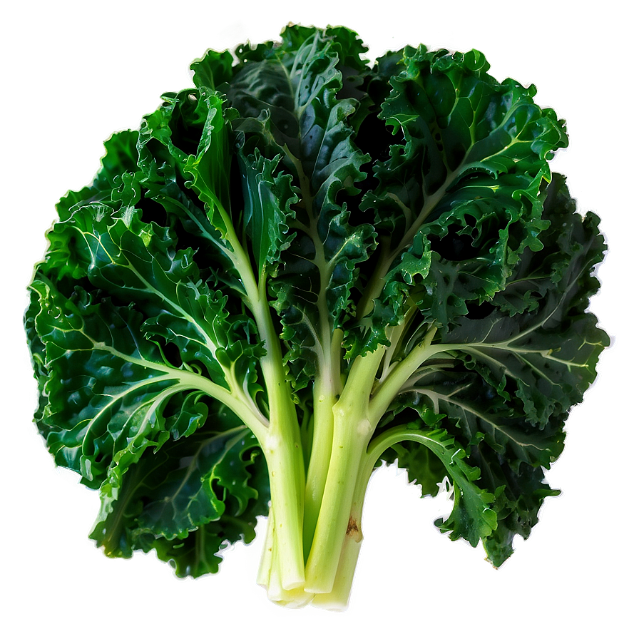 Sautéed Kale Png Gqt3