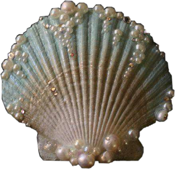 #clam #shell #sea #mermaid #ocean #vintage #water #aesthetic - Shell Aesthetic, HD Png Download PNG with transparent background