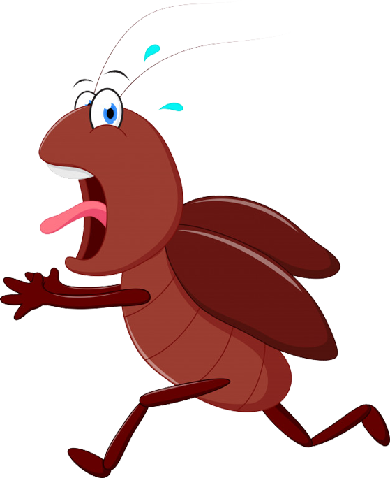 Scared Cartoon Cockroach Running