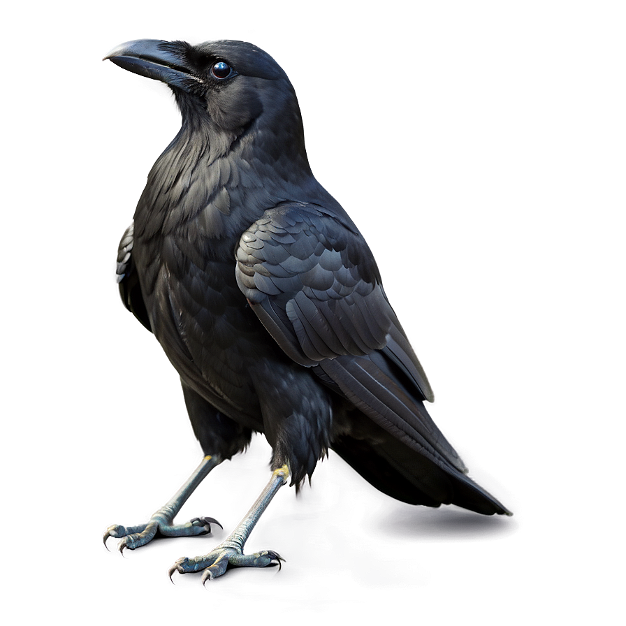 Scary Crow Png Bgy78