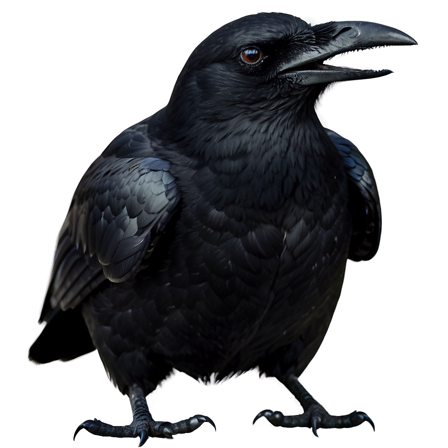 Scary Crow Png Vqj72