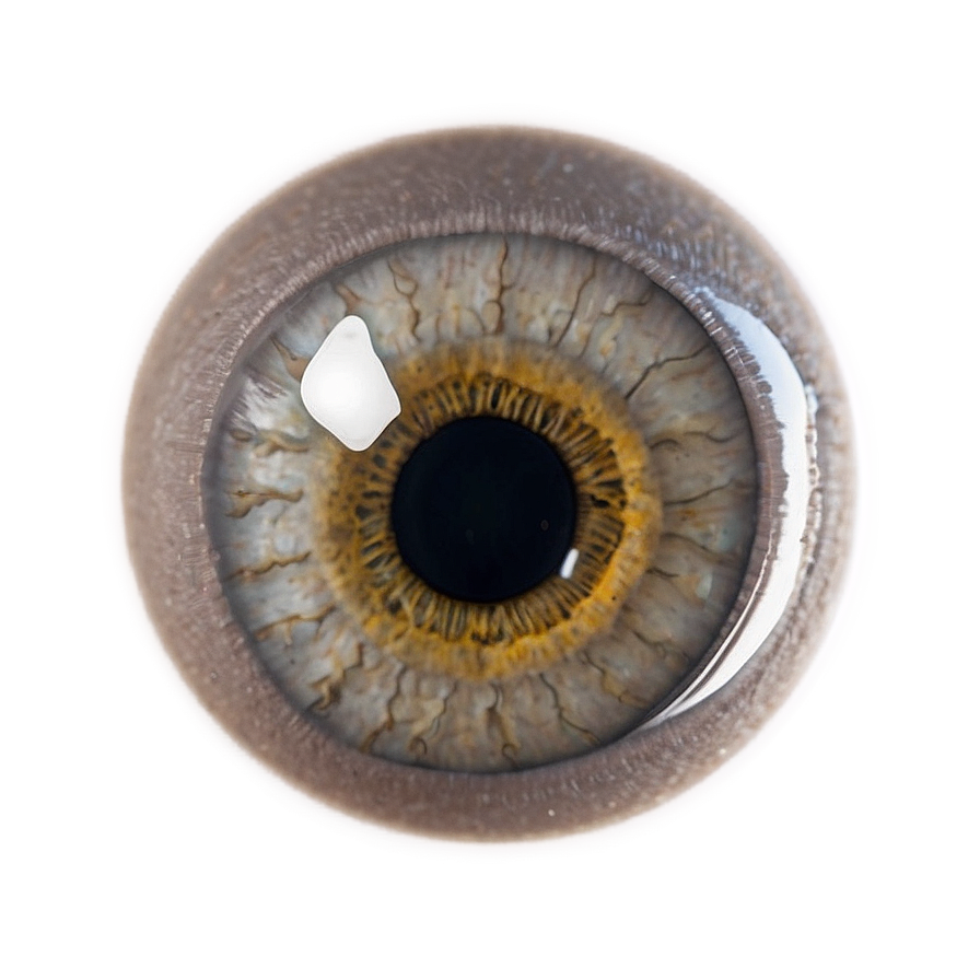 Scary Eyes in Darkness PNG 66 PNG with transparent background