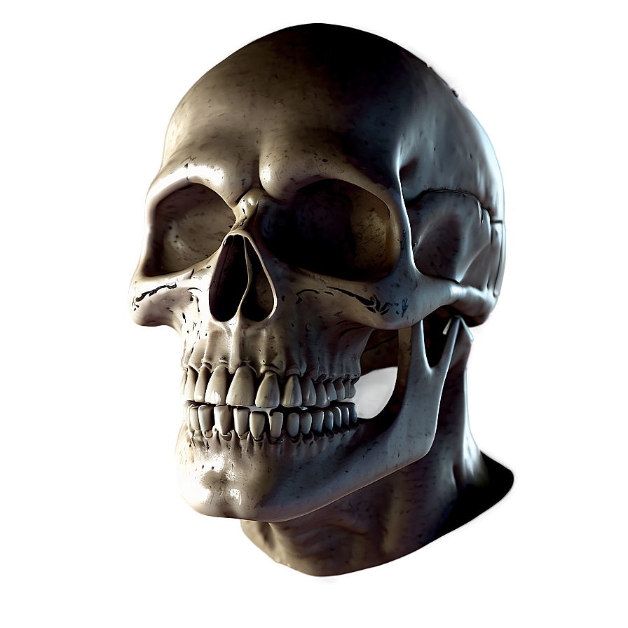 Scary Skull Face Portrait Png 73