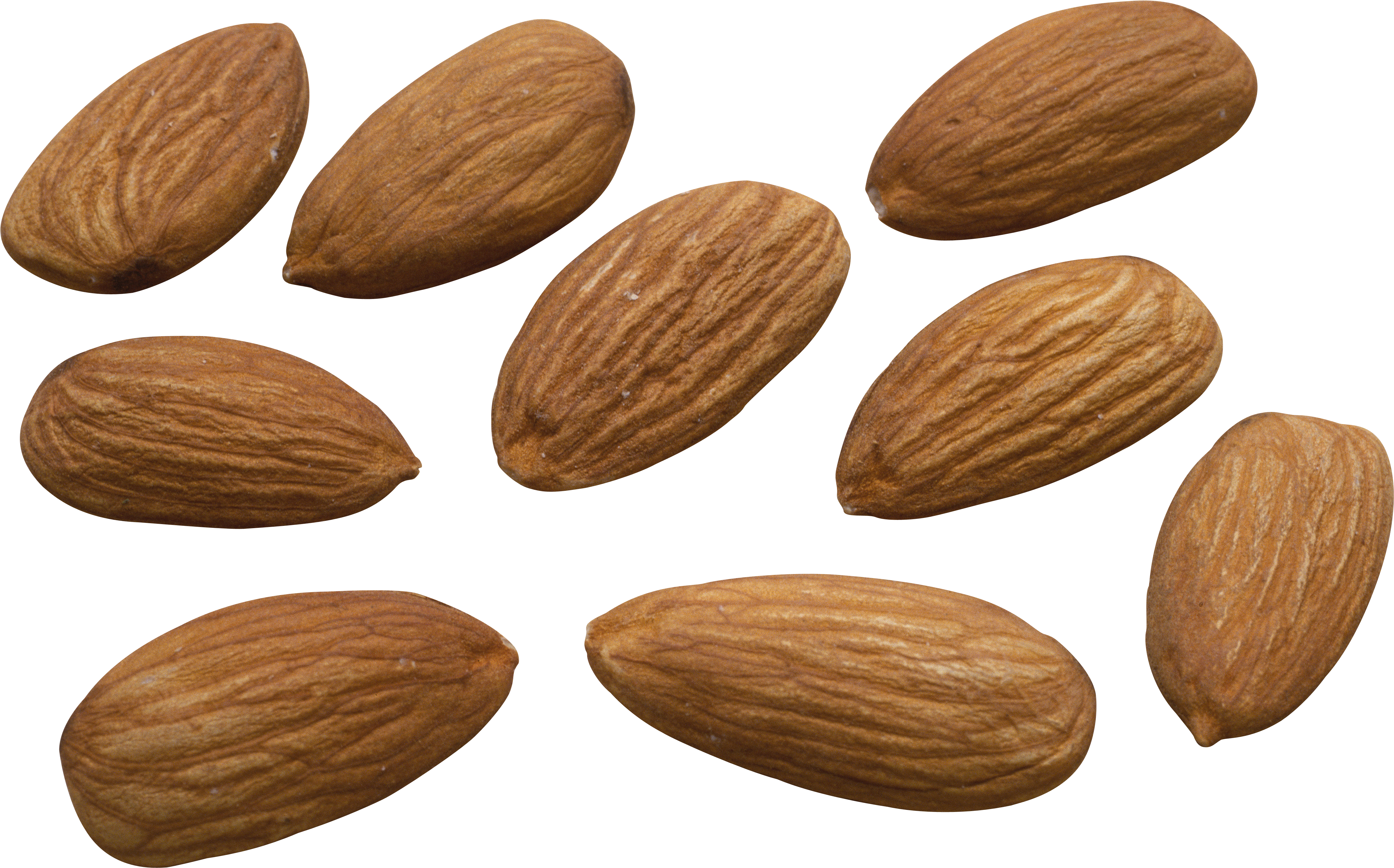 50682 - Almond High Resolution, HD Png Download PNG with transparent background