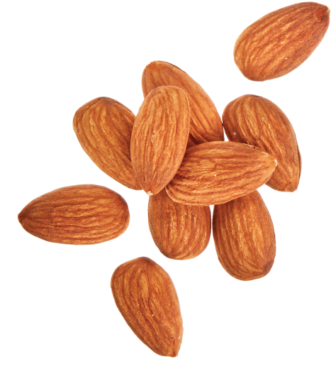 Almond, HD Png Download PNG with transparent background