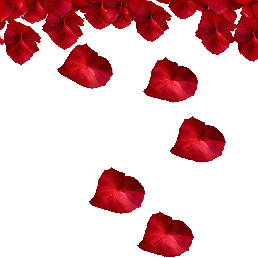 Scattered Rose Petals PNG xjr PNG with transparent background