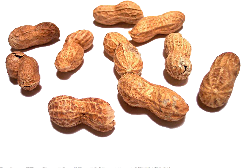 Scattered_ Shelled_ Peanuts