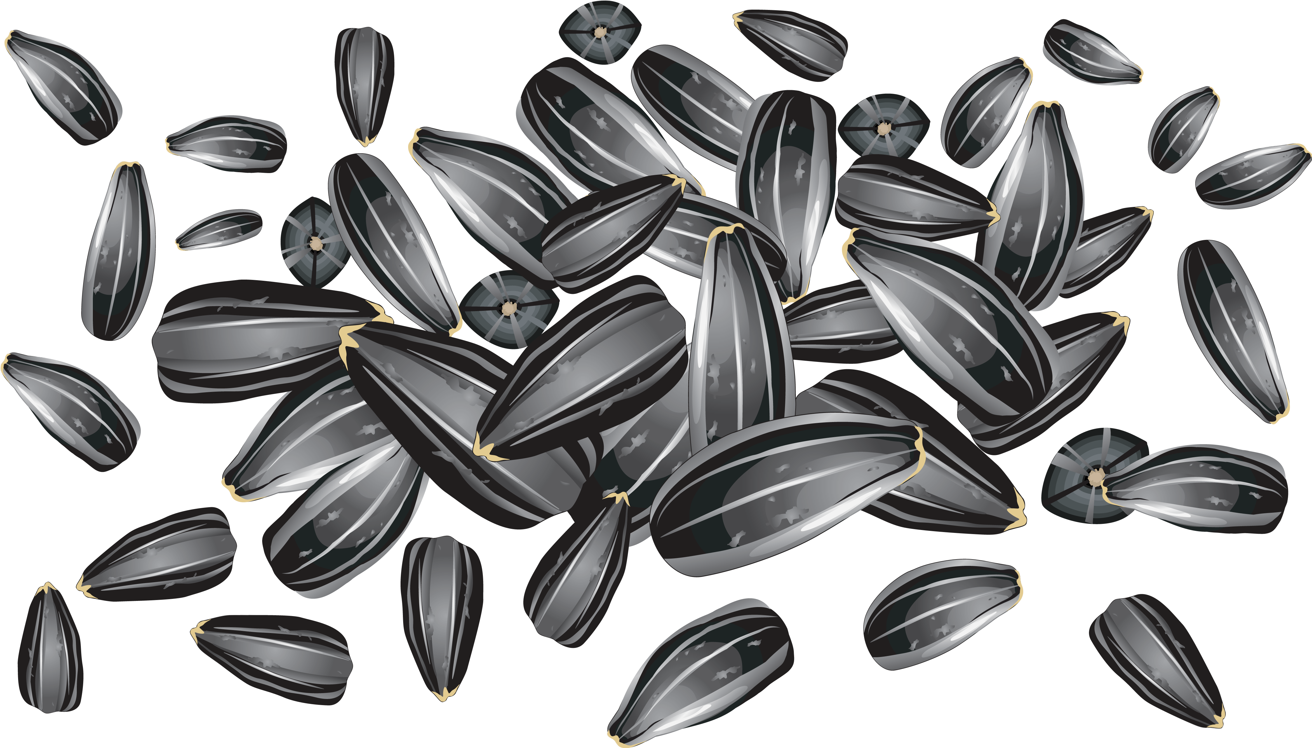 Download Sunflower Seeds Png Clipart - Sunflower Seed Vector Free, Transparent Png PNG image with a transparent background, free high-resolution download