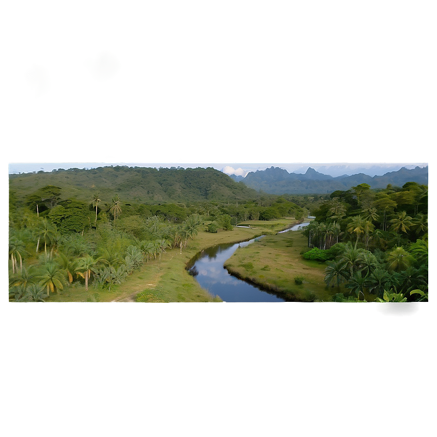 Scenic Nature Trail PNG 06202024 PNG with transparent background