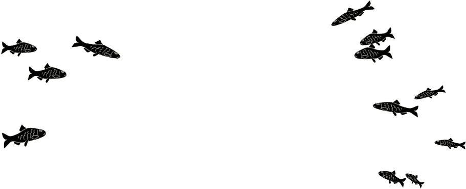 School Of Fish Png - Transparent School Of Fish, Png Download PNG with transparent background