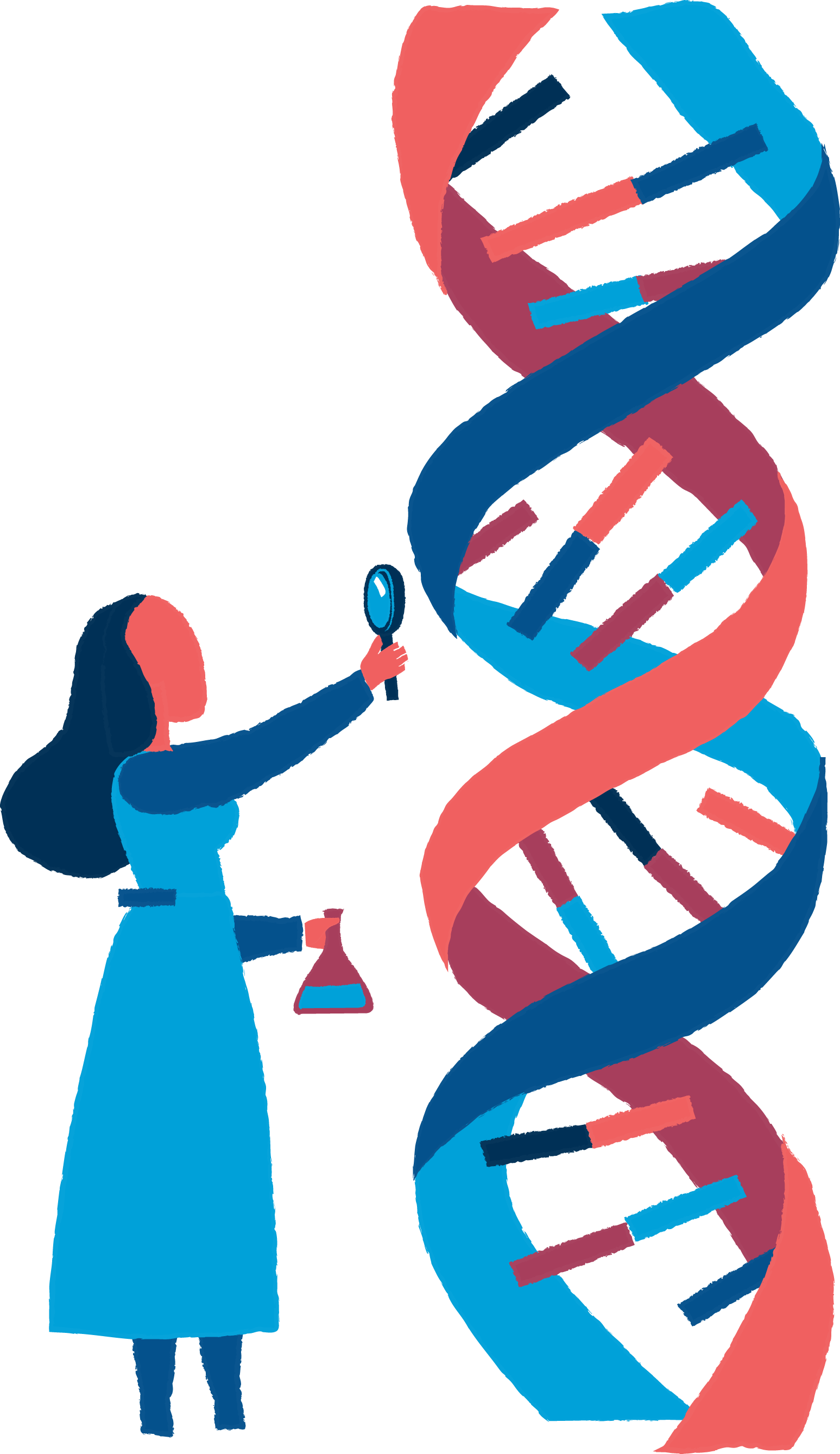 Scientist Examining D N A Structure