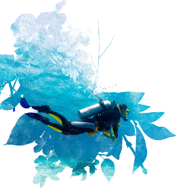 Scuba Diver Underwater Exploration PNG with transparent background
