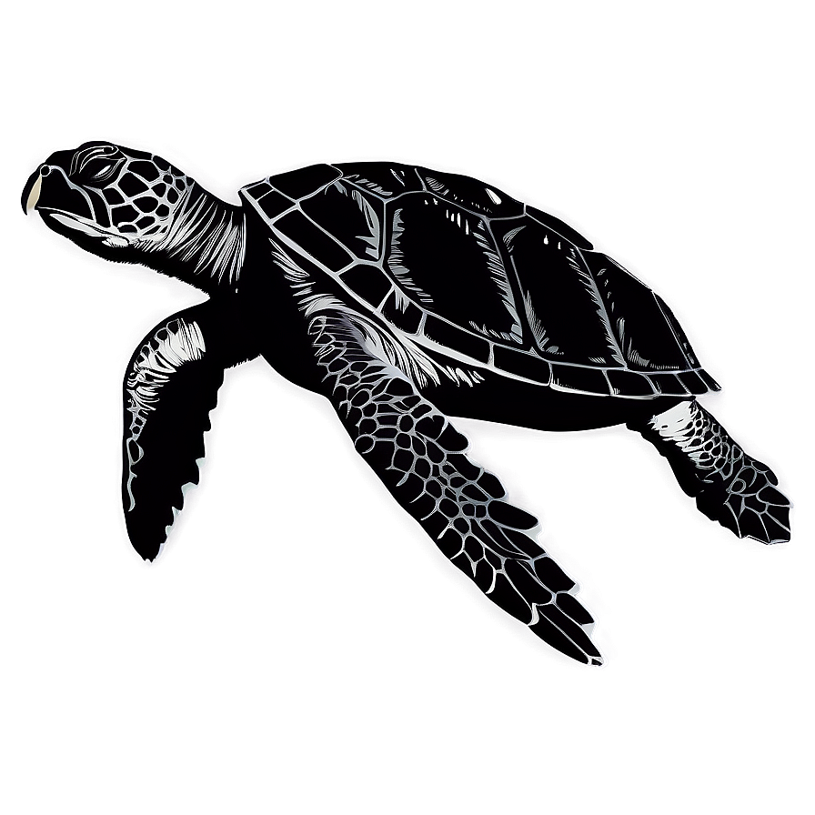 Sea Turtle Silhouette Png 19