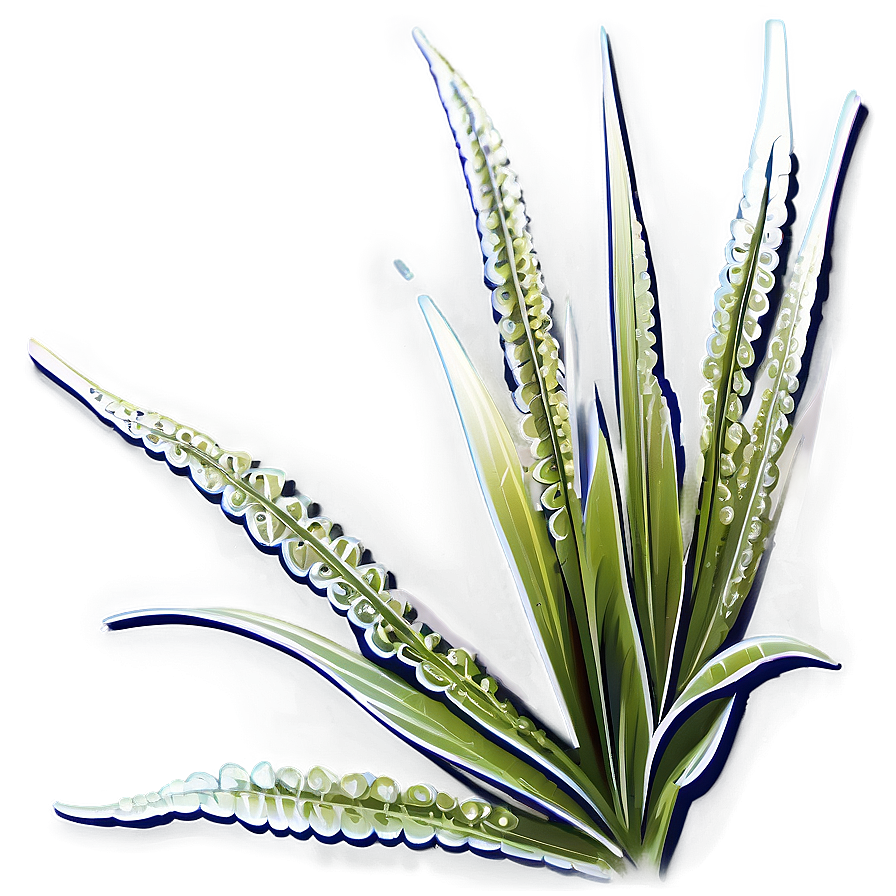 Seagrass Icon Png 9