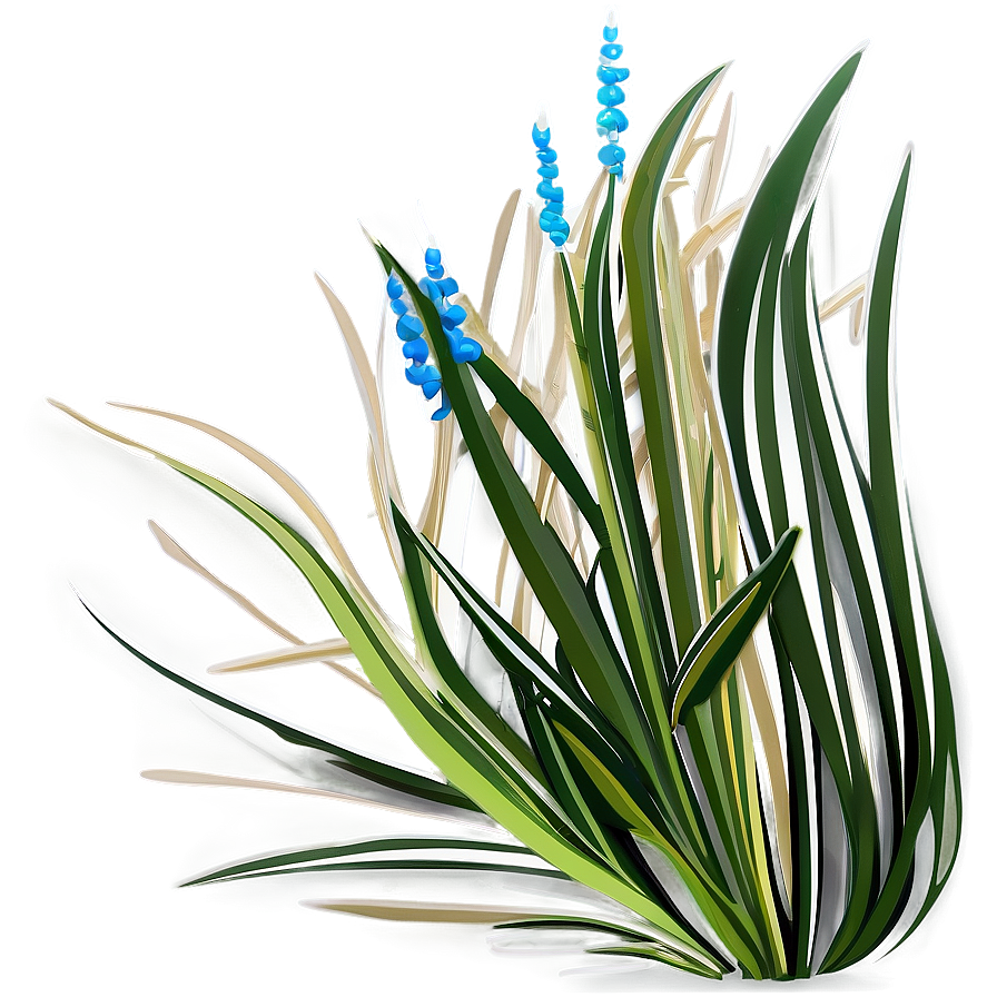 Seagrass Vector Png Ibl51