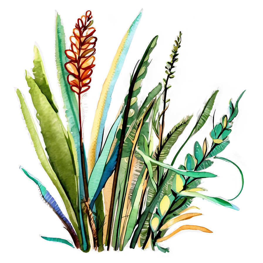 Seagrass Watercolor Png Agl35