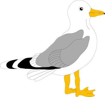 Seagull Graphic Illustration PNG with transparent background