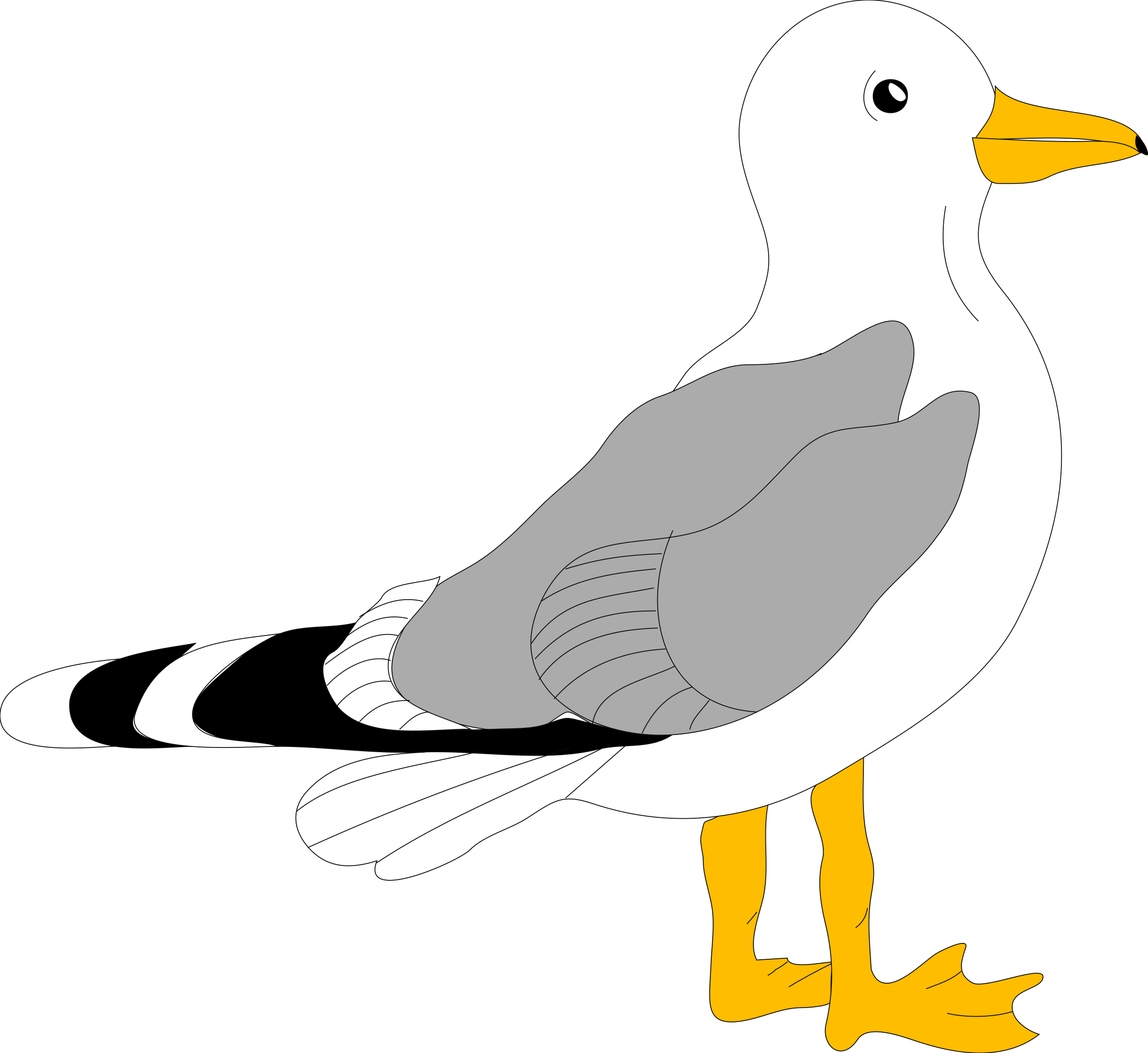 Cartoon Seagull Svg Clip Arts - Gull Clipart, HD Png Download PNG with transparent background