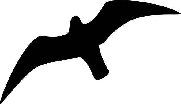Seagull Silhouette Against Sky PNG with transparent background
