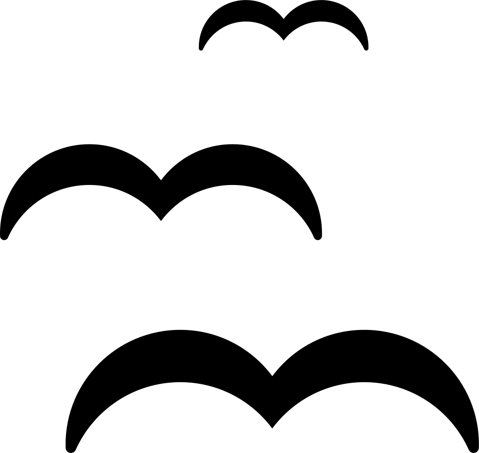 Three Seagulls - Seagulls Vector, HD Png Download PNG with transparent background