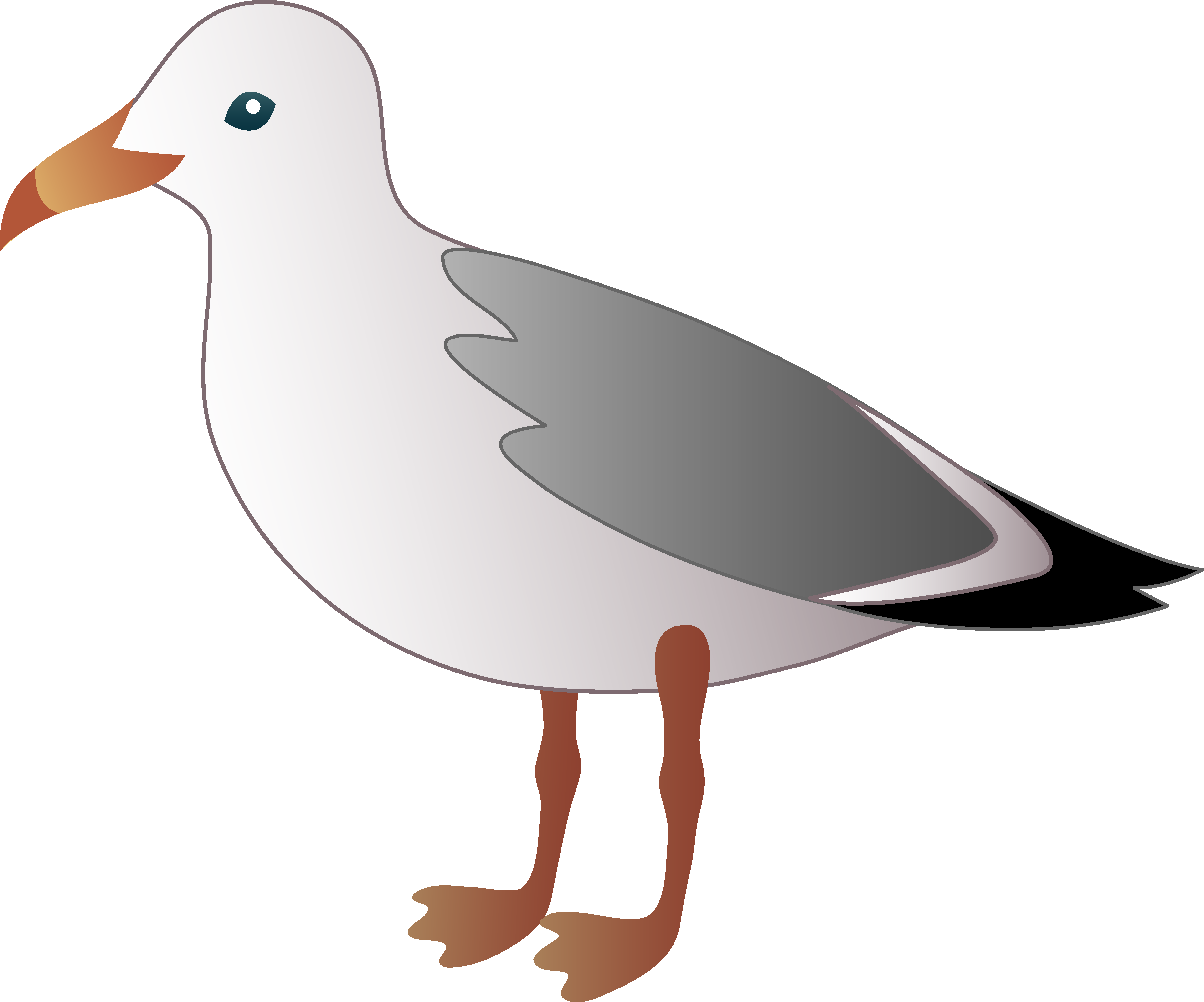Seagull Over Water Clipart - Seagull Clipart, HD Png Download PNG with transparent background