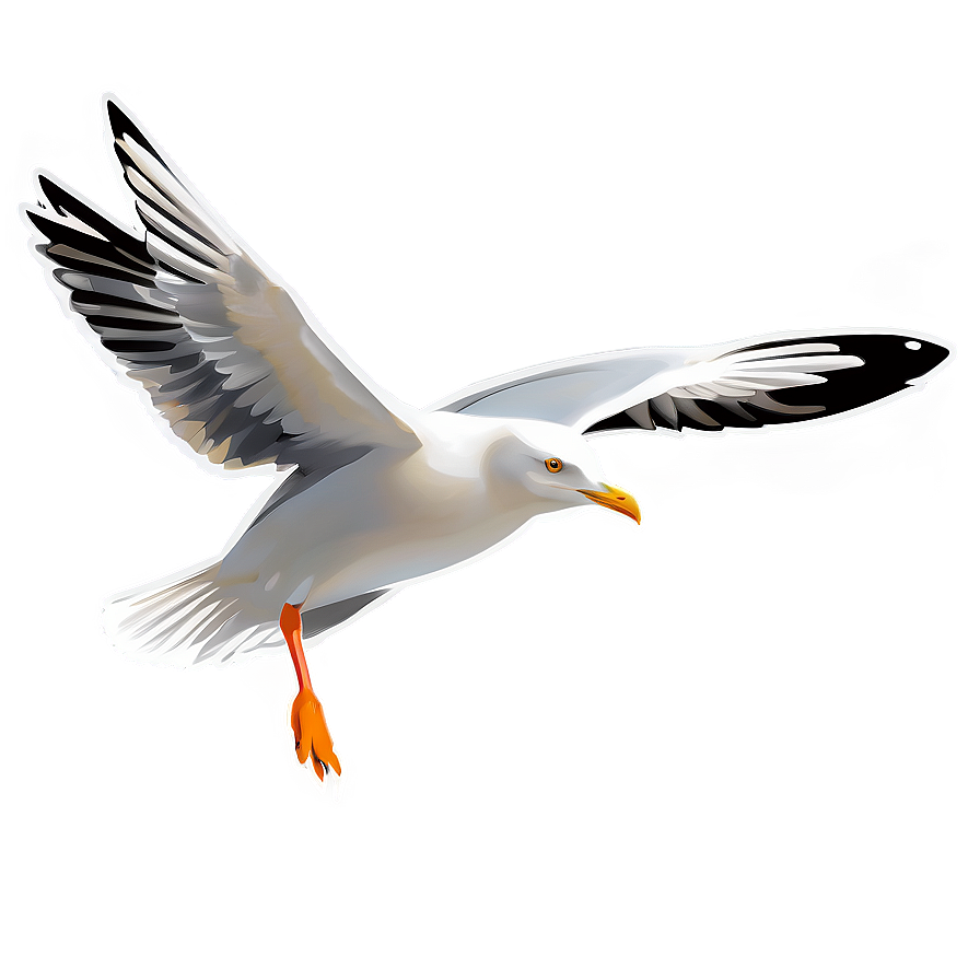 Seagull Vector Png 05242024