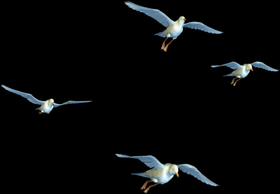 Seagullsin Flight Sequence