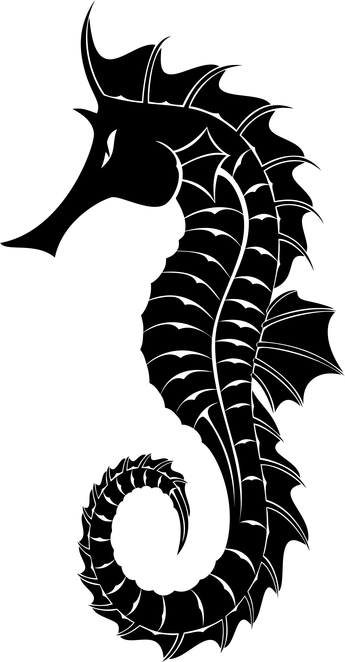 Seahorse Png - Seahorse Black And White, Transparent Png PNG with transparent background
