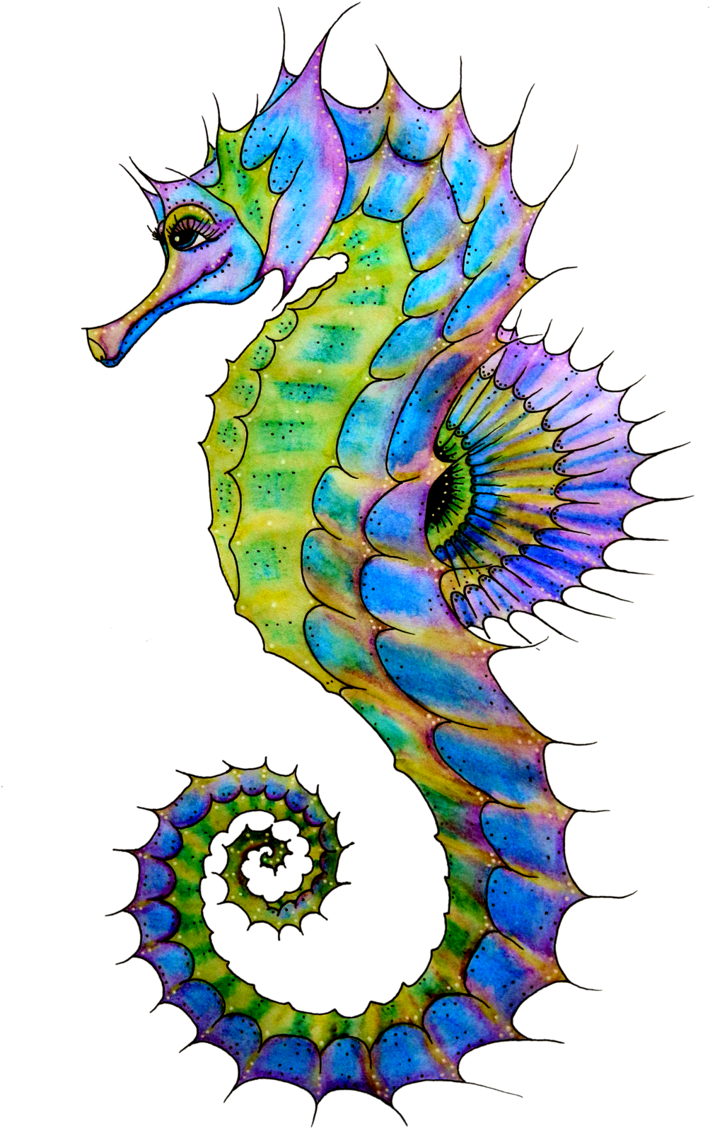 Seahorse Png Transparent Image - Transparent Seahorse Png, Png Download PNG with transparent background