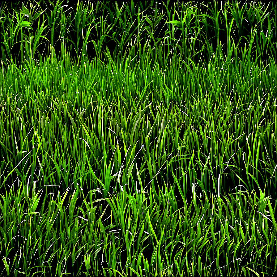 Seamless Green Grass Pattern Png 06262024