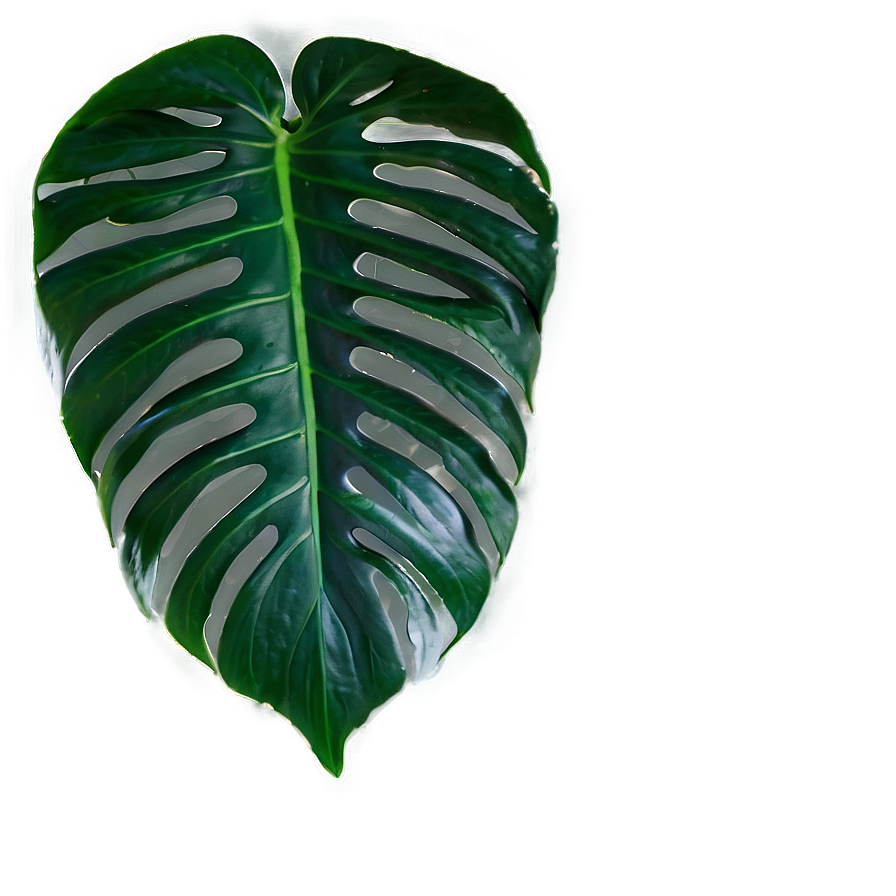 Seamless Tropical Leaf Texture Png 06122024