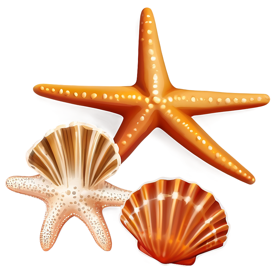 Seashell And Starfish Clipart Png 83