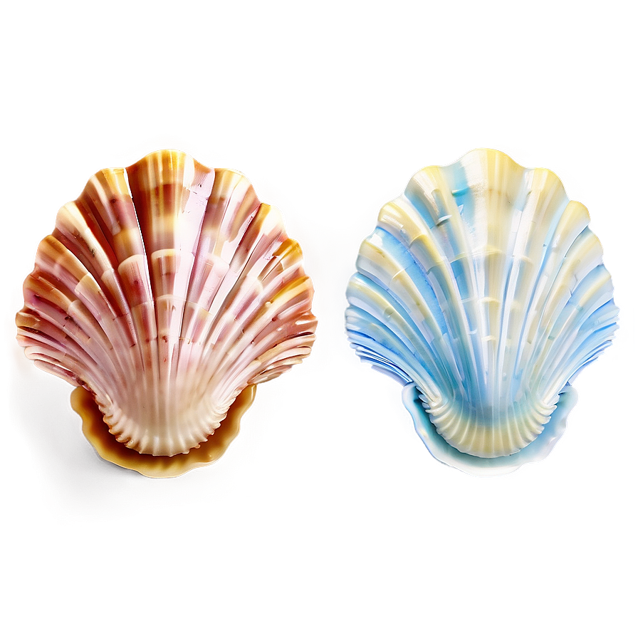 Seashell Bathroom Decor Png 34