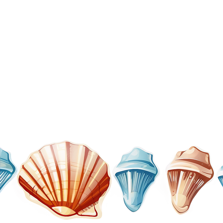 Seashell Border Clipart Png 06262024