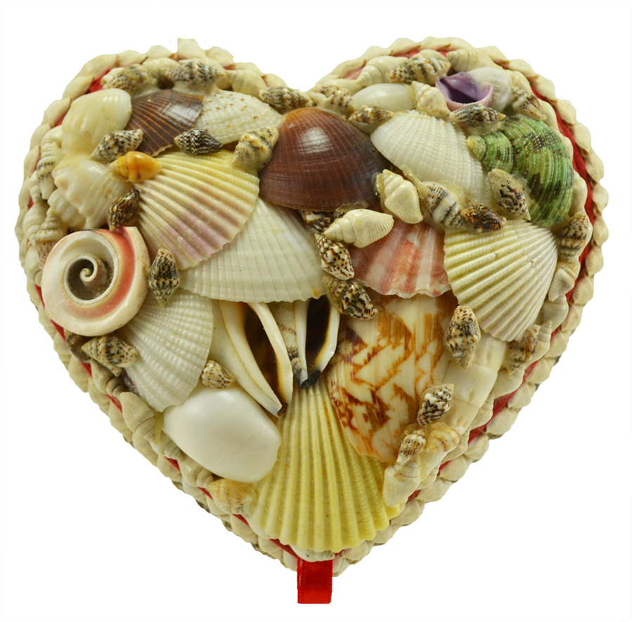 Jewelry Box-heart Shape 5x5' - Shell, HD Png Download PNG image with a transparent background, free high-resolution download
