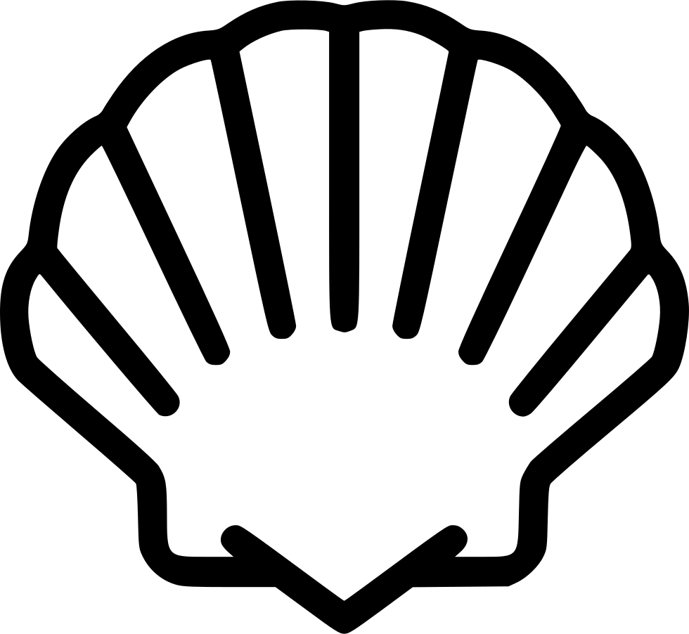 Seashell - Clam Shell Printable Template, HD Png Download PNG with transparent background
