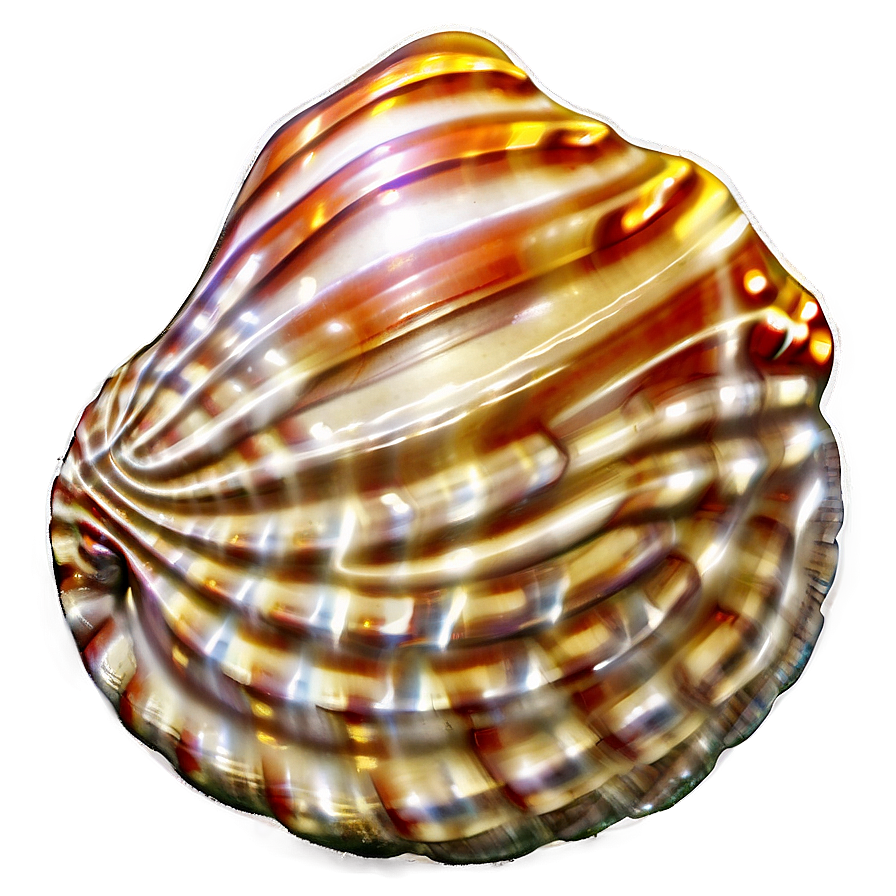 Seashell On Beach Sand Png Qjv5