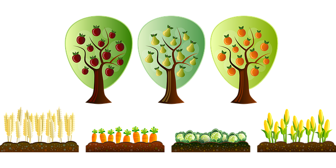 Seasonal Farm Cropsand Trees PNG with transparent background