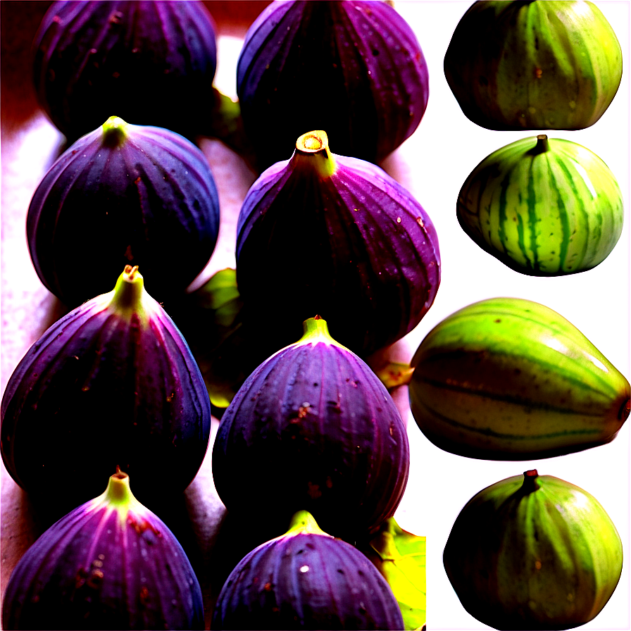 Seasonal Fig Harvest PNG wvl92 PNG image with a transparent background, free high-resolution download