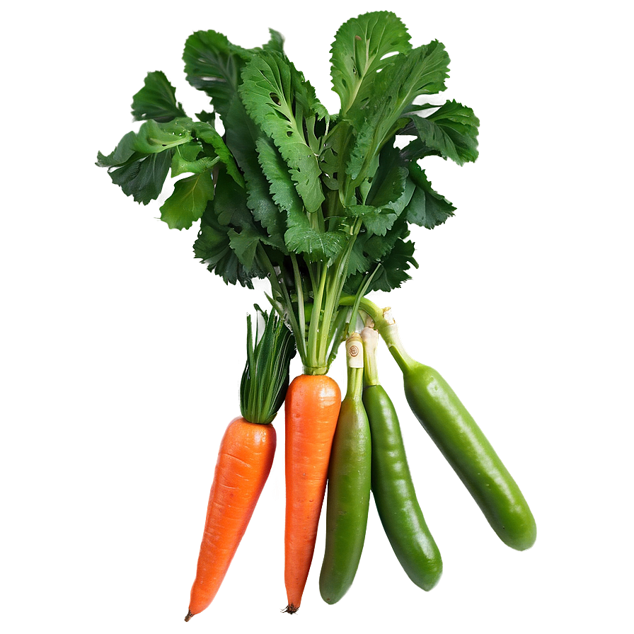 Seasonal Fruit And Veg Png 92