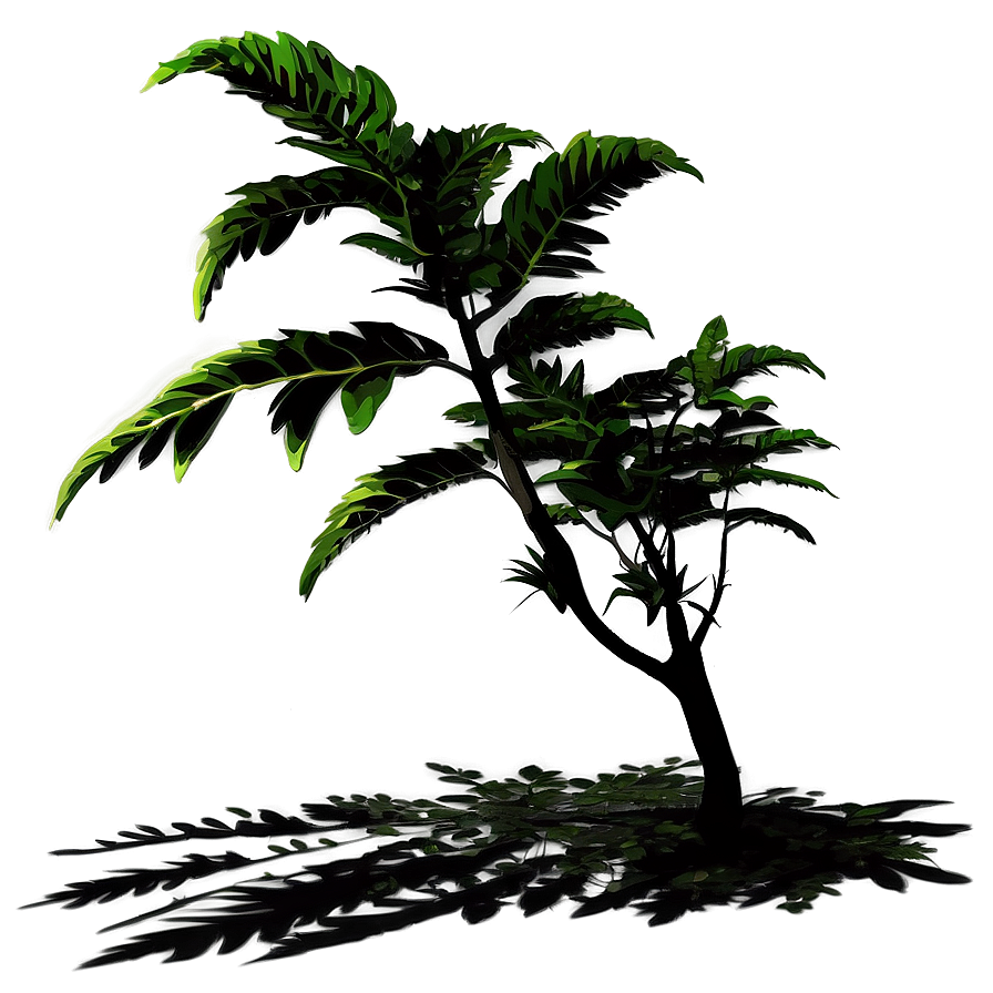 Seasonal Plant Shadow Png Axl