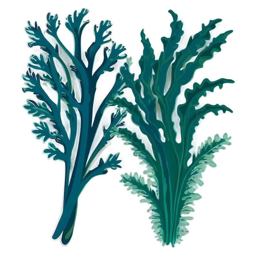 Seaweed Bundle Vector Png Xuj49