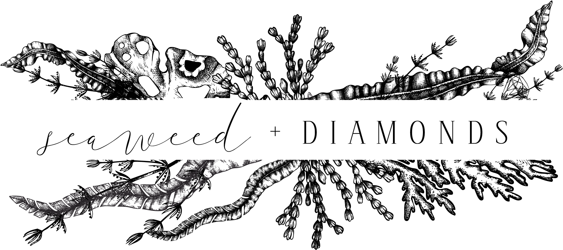 Seaweed And Diamonds - Illustration, HD Png Download PNG with transparent background