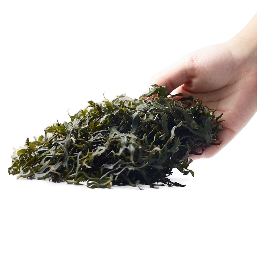 Seaweed Eco-friendly Packaging Png Xsx67