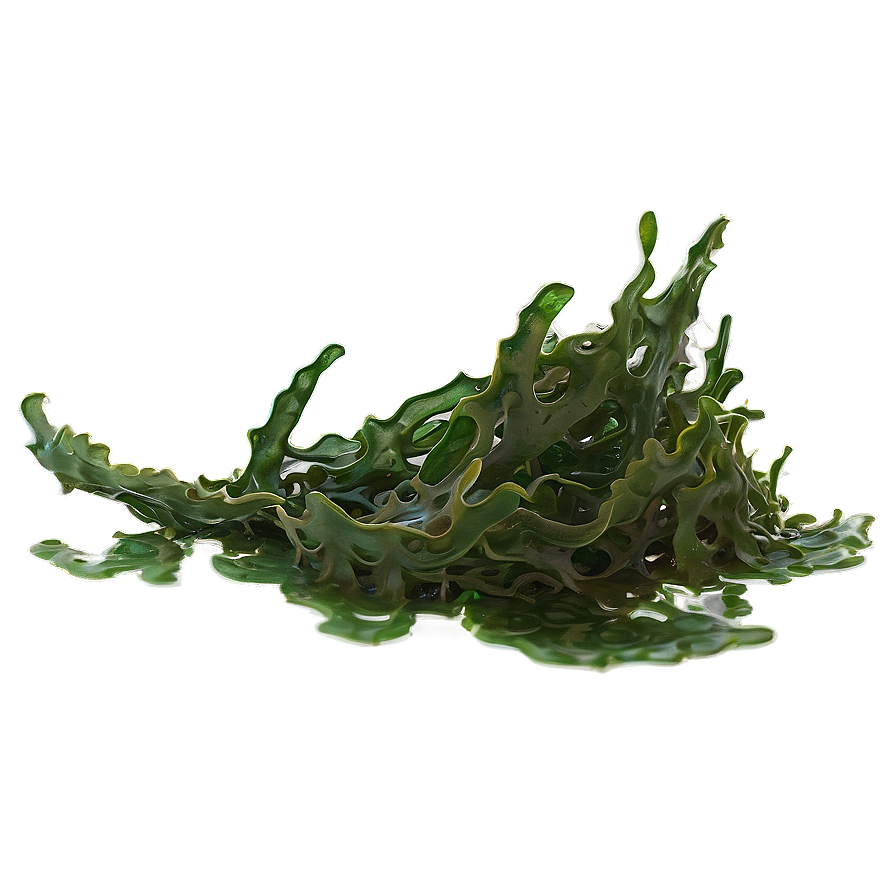 Seaweed On Ocean Floor Png Urp48