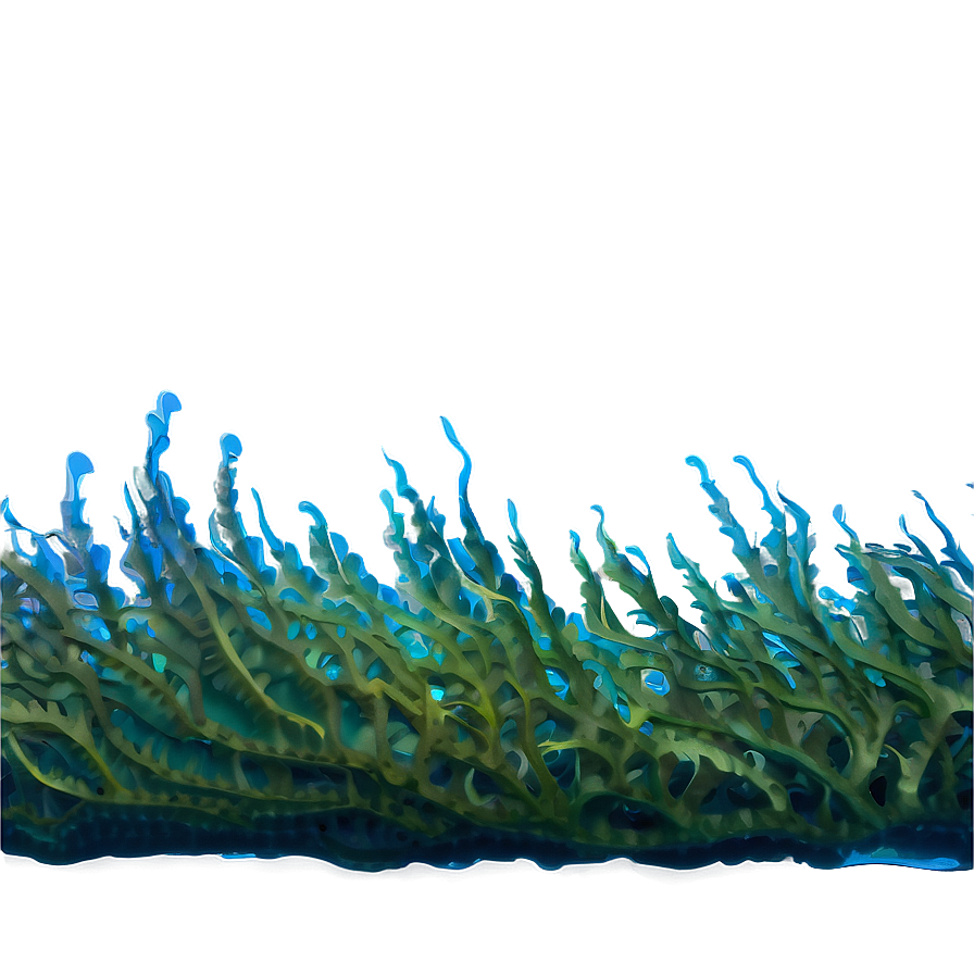 Seaweed Under Sea Png Cot92